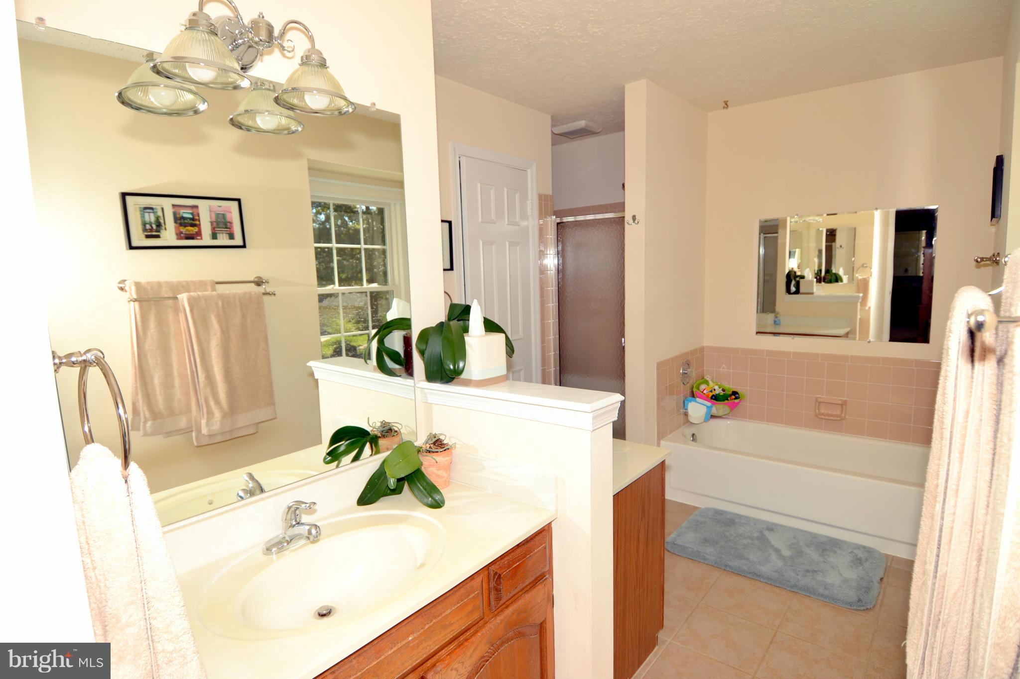 254 Lindenhall Court Riva, MD 21140 - Photo 14 of 29 Private Full Bath