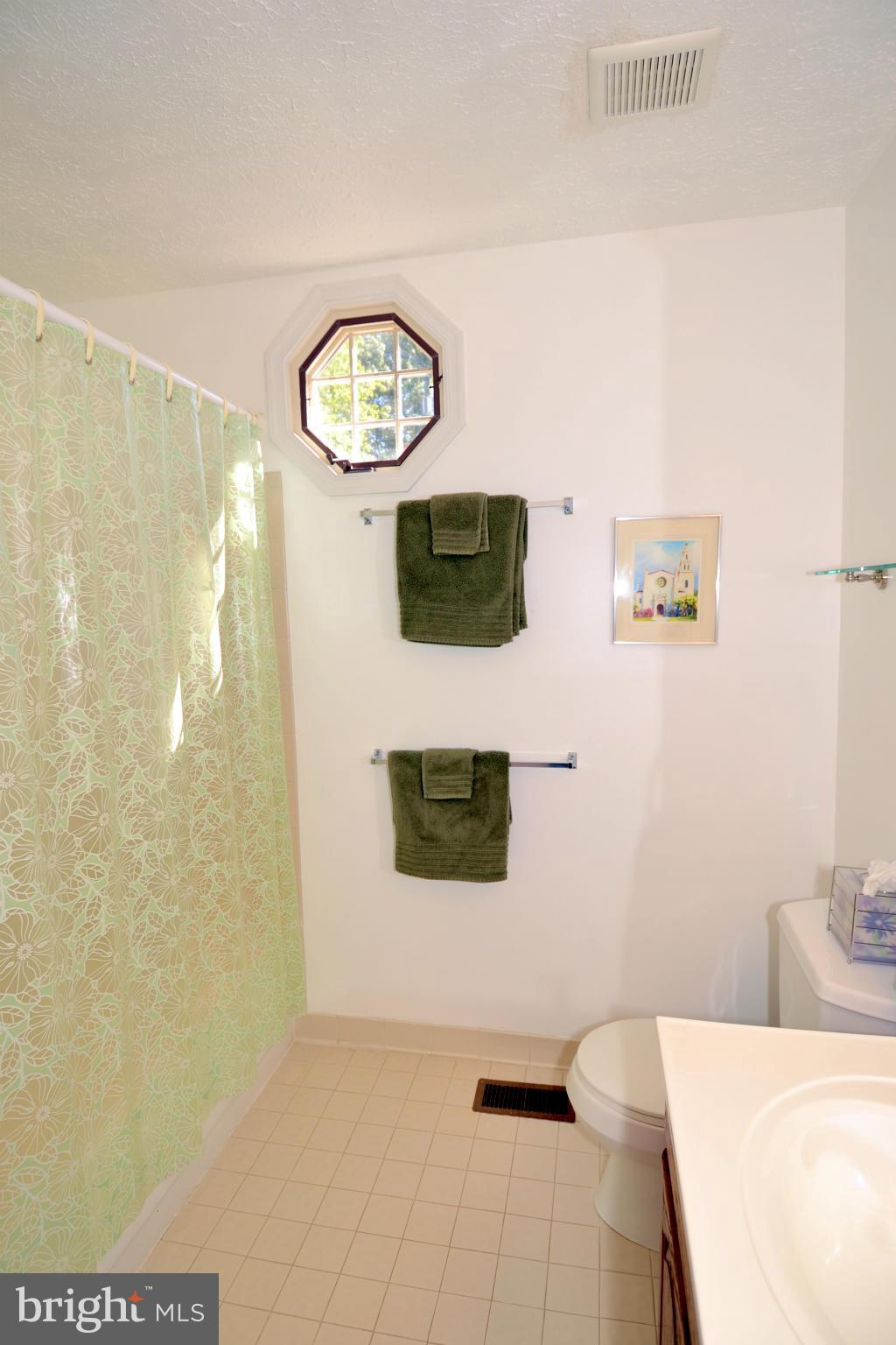 254 Lindenhall Court Riva, MD 21140 - Photo 18 of 29 Full Hallway Bath