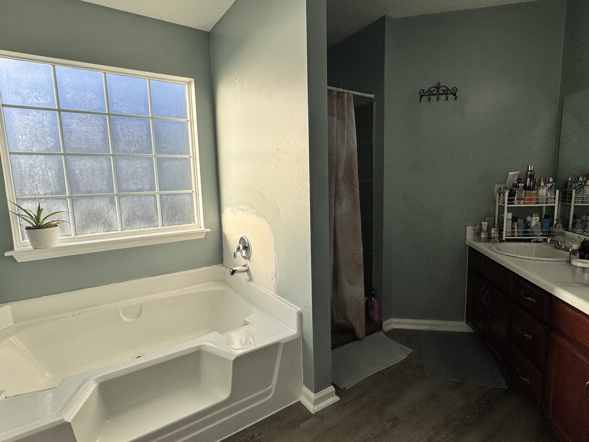 589 Hollandale Road La Vergne, TN 37086 - Photo 12 of 27 a bathroom with a bathtub and a sink
