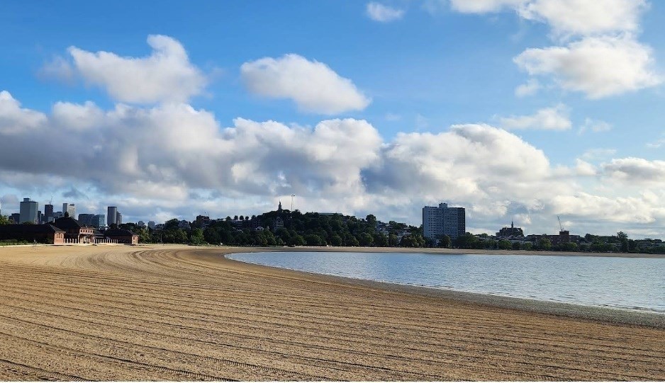 33-39 Ward Street Boston, MA 02127 - Photo 22 of 27