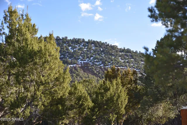 a view of a park with swings