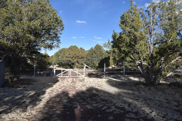 a view of road with large trees