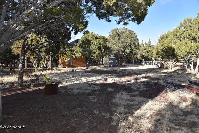 a view of yard covered with trees