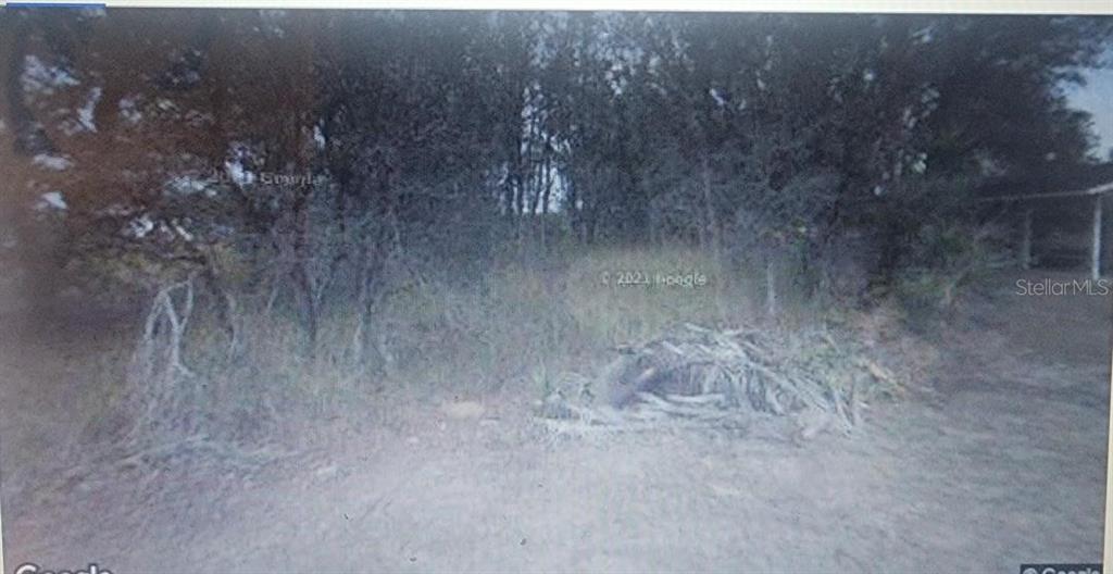 3126 West Ansonia Road Avon Park, FL 33825 - Photo 2 of 3 a view of a dry yard