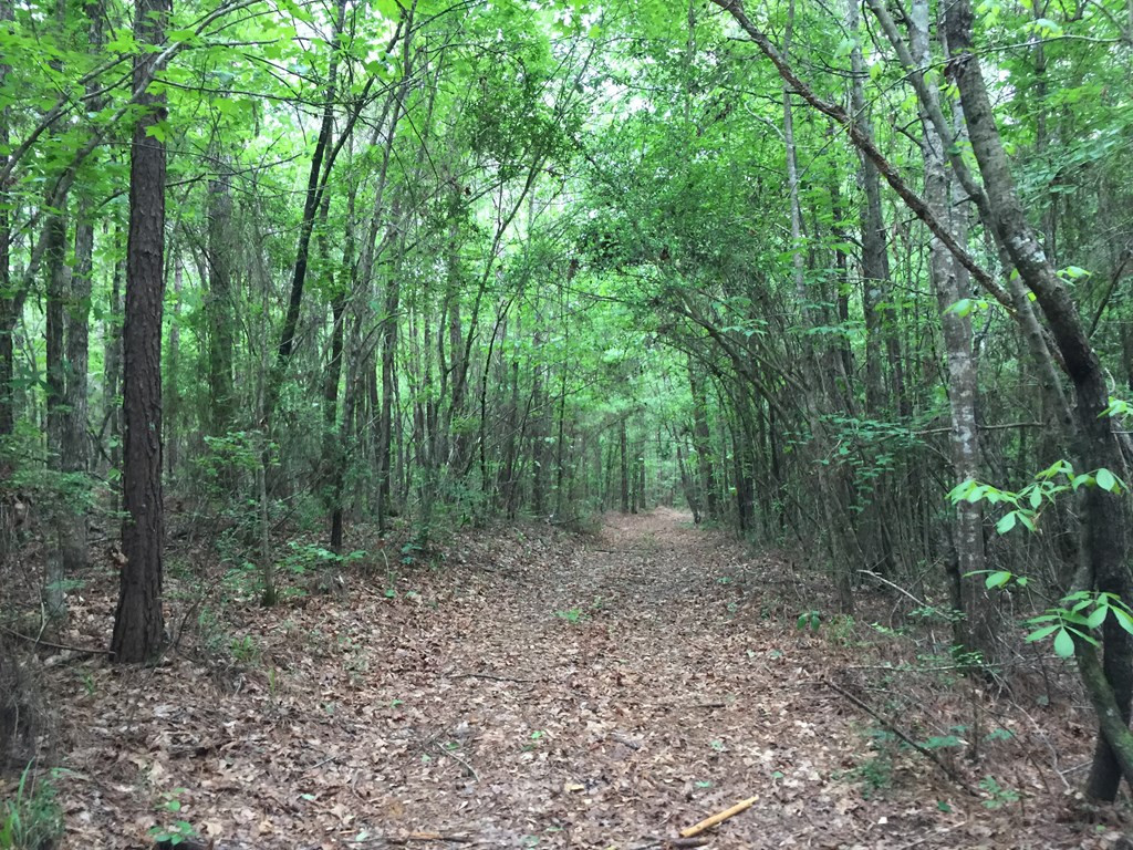 25 Sauls Road Ruth, MS 39662 - Photo 11 of 14 Photo 11