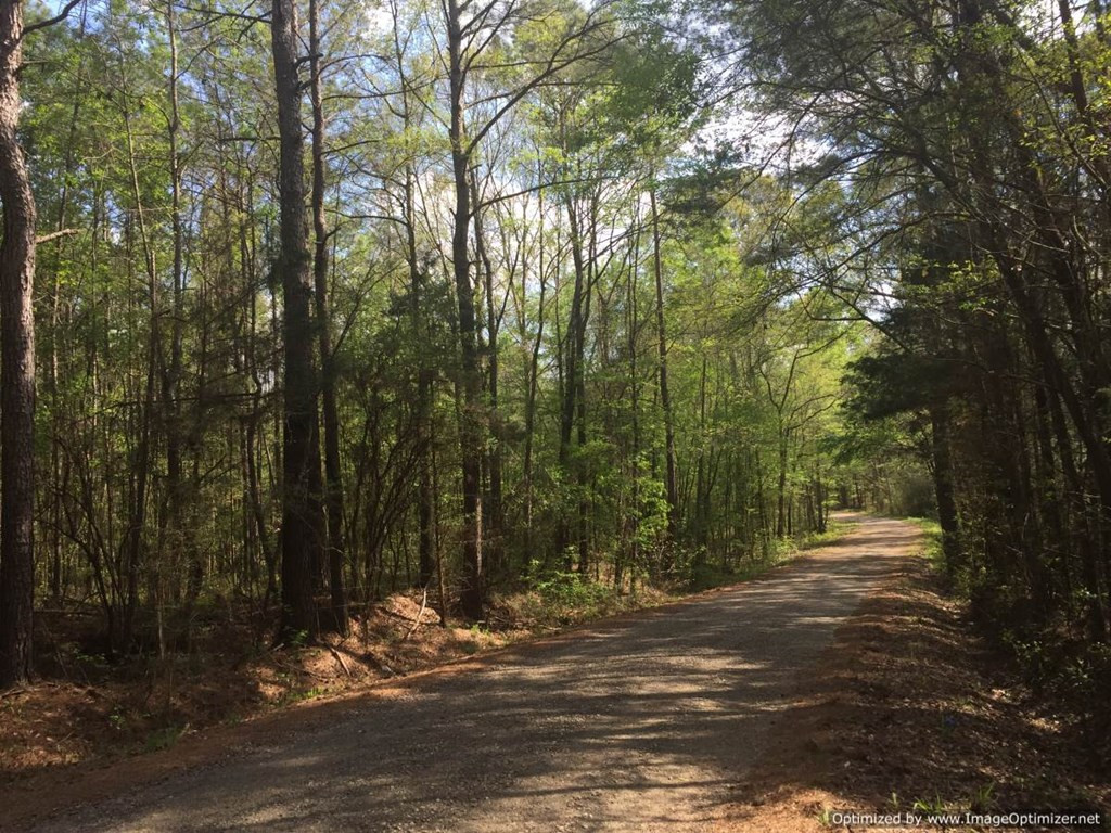 25 Sauls Road Ruth, MS 39662 - Photo 2 of 14 Photo 2