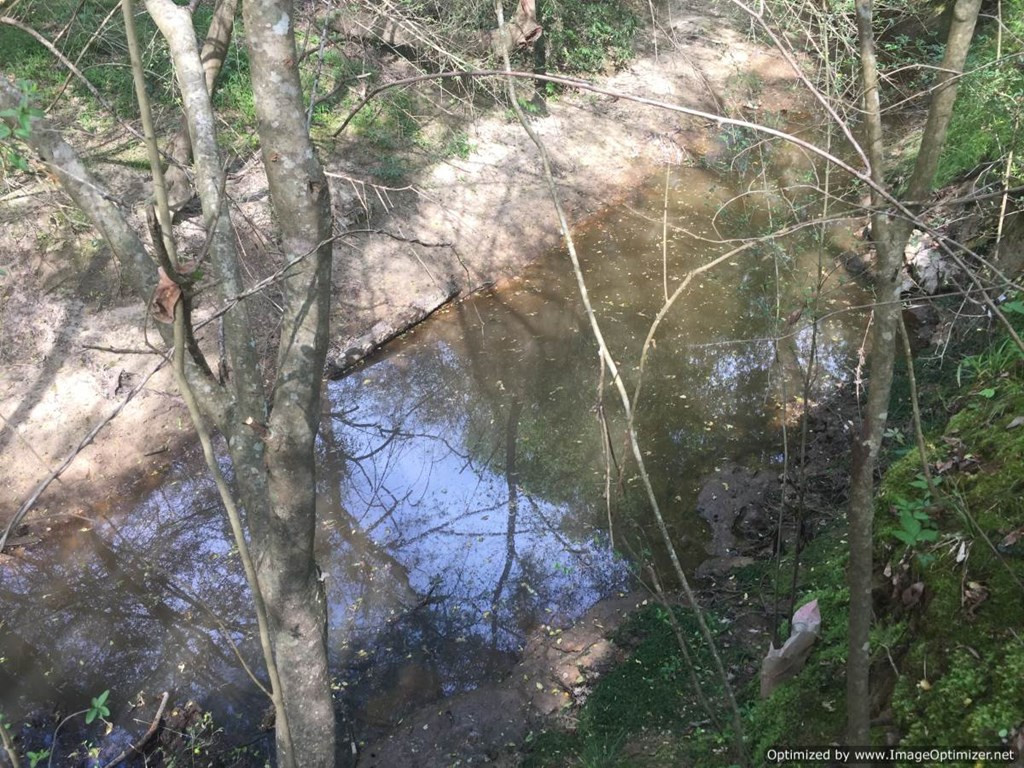 25 Sauls Road Ruth, MS 39662 - Photo 6 of 14 Photo 6