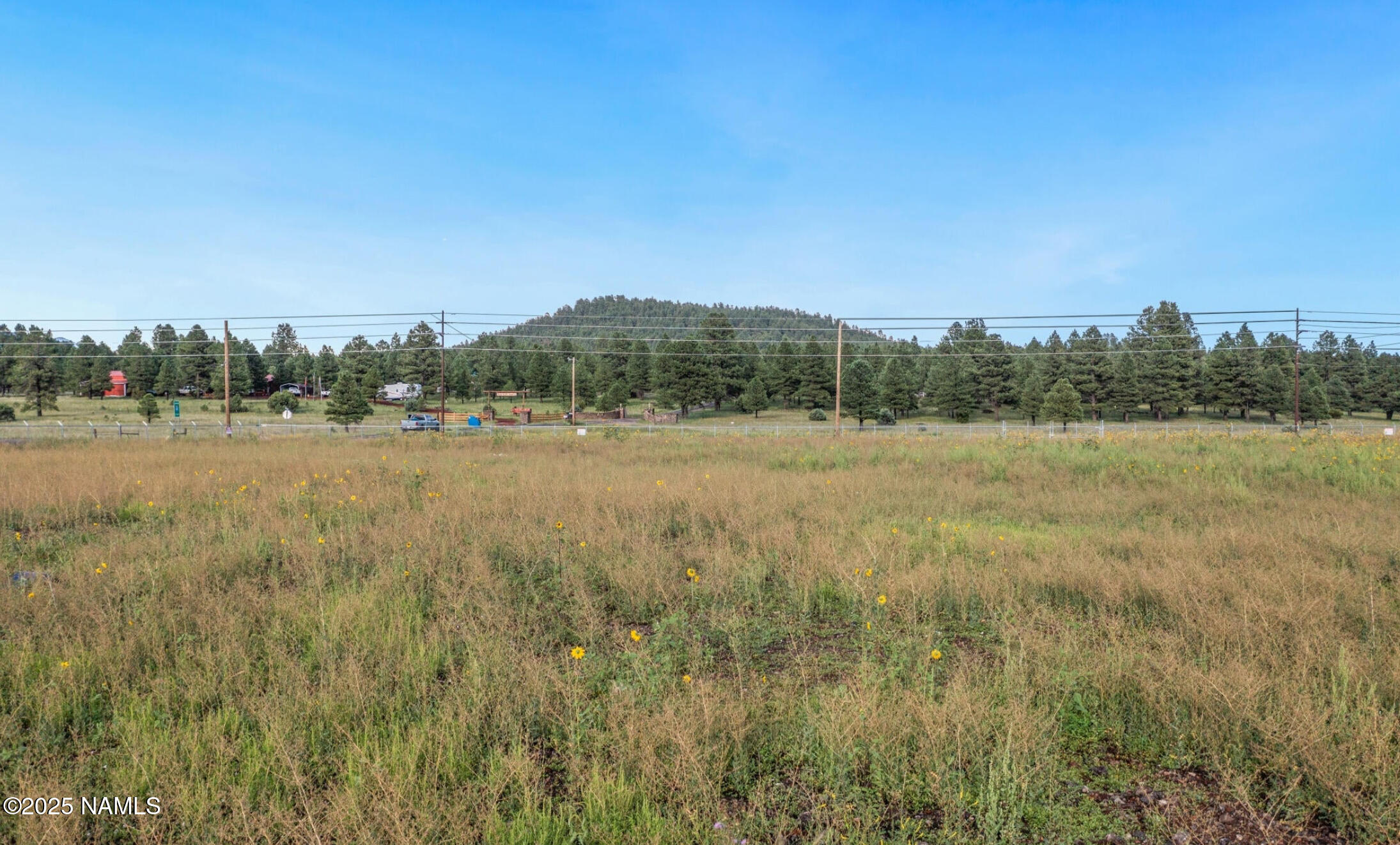 Tbd Garland Prairie Road Flagstaff, AZ 86046 - Photo 9 of 13 IMG_0117