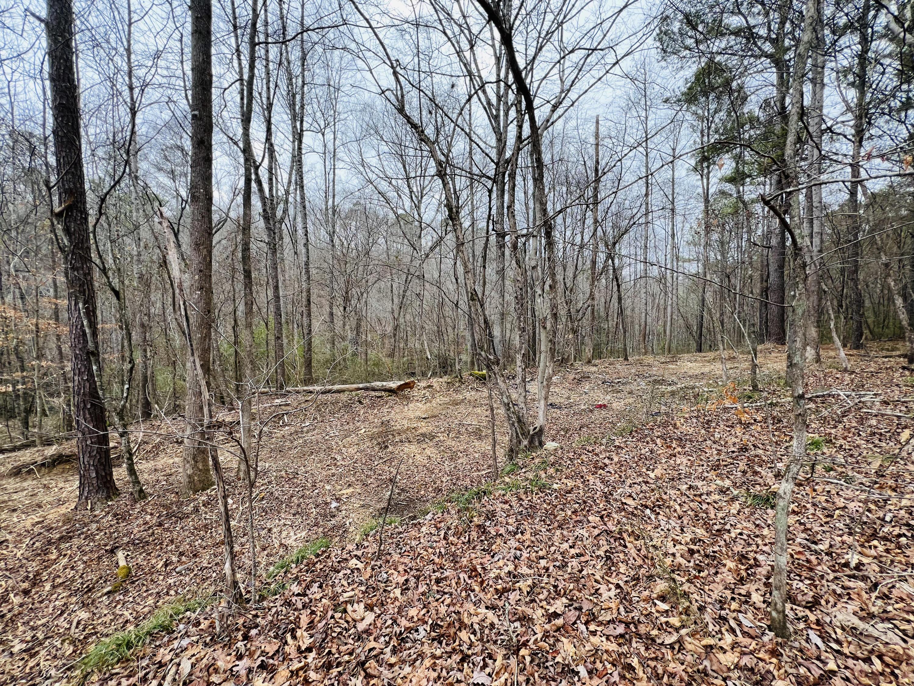 39 Co Road Addison, AL 35540 - Photo 20 of 32 Gallery Image 20
