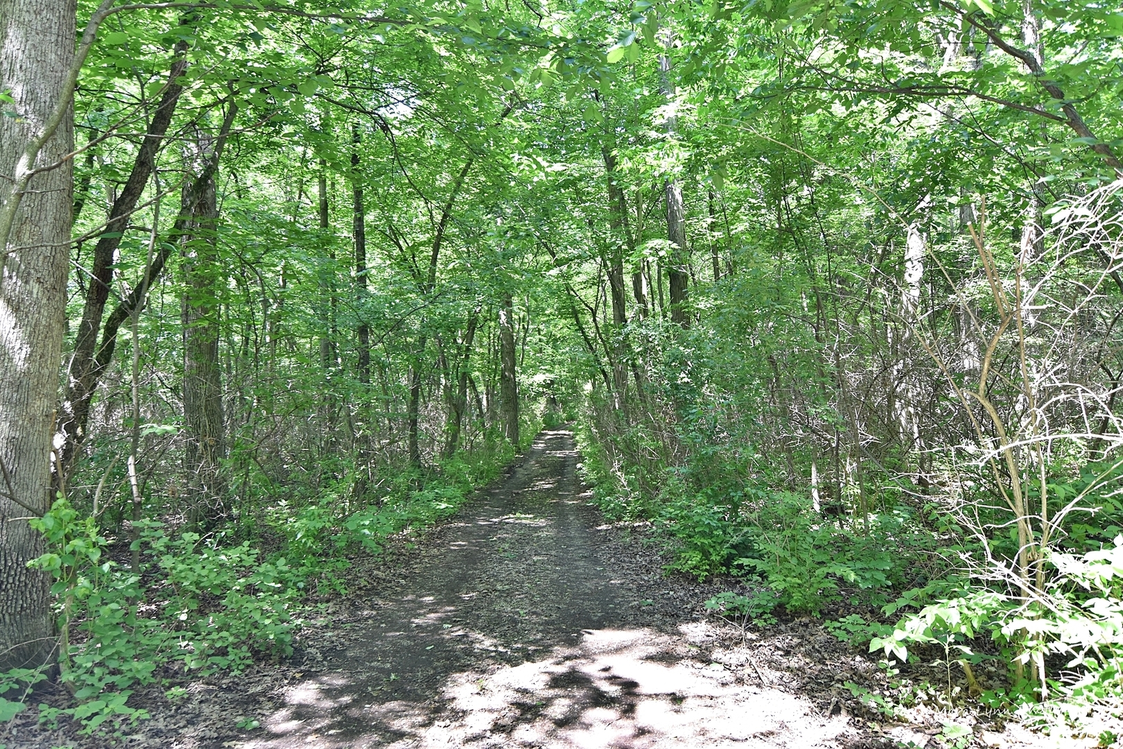 5N764 Surrey Road Wayne, IL 60174 - Photo 17 of 17
