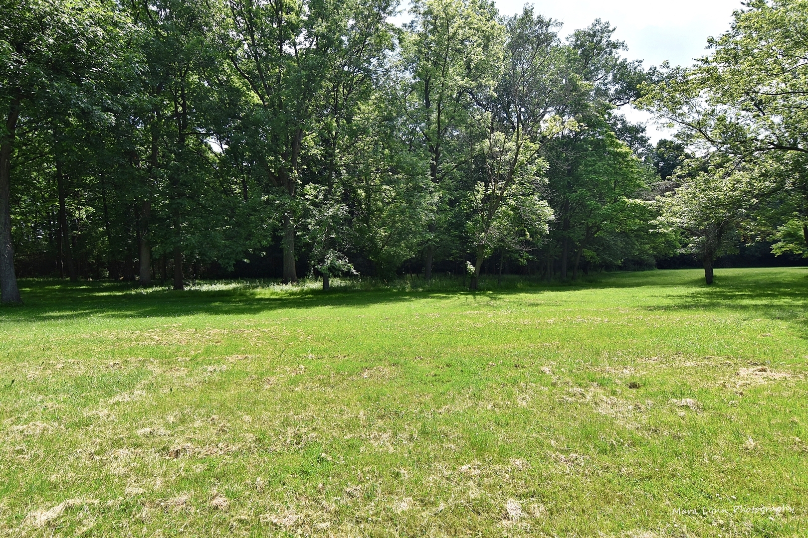 5N764 Surrey Road Wayne, IL 60174 - Photo 4 of 17