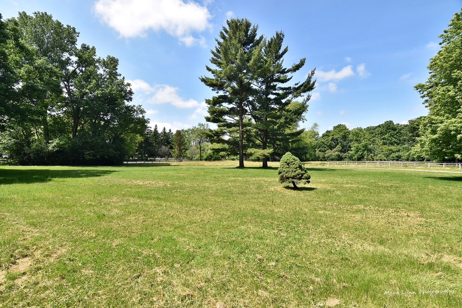 5N764 Surrey Road Wayne, IL 60174 - Photo 5 of 17