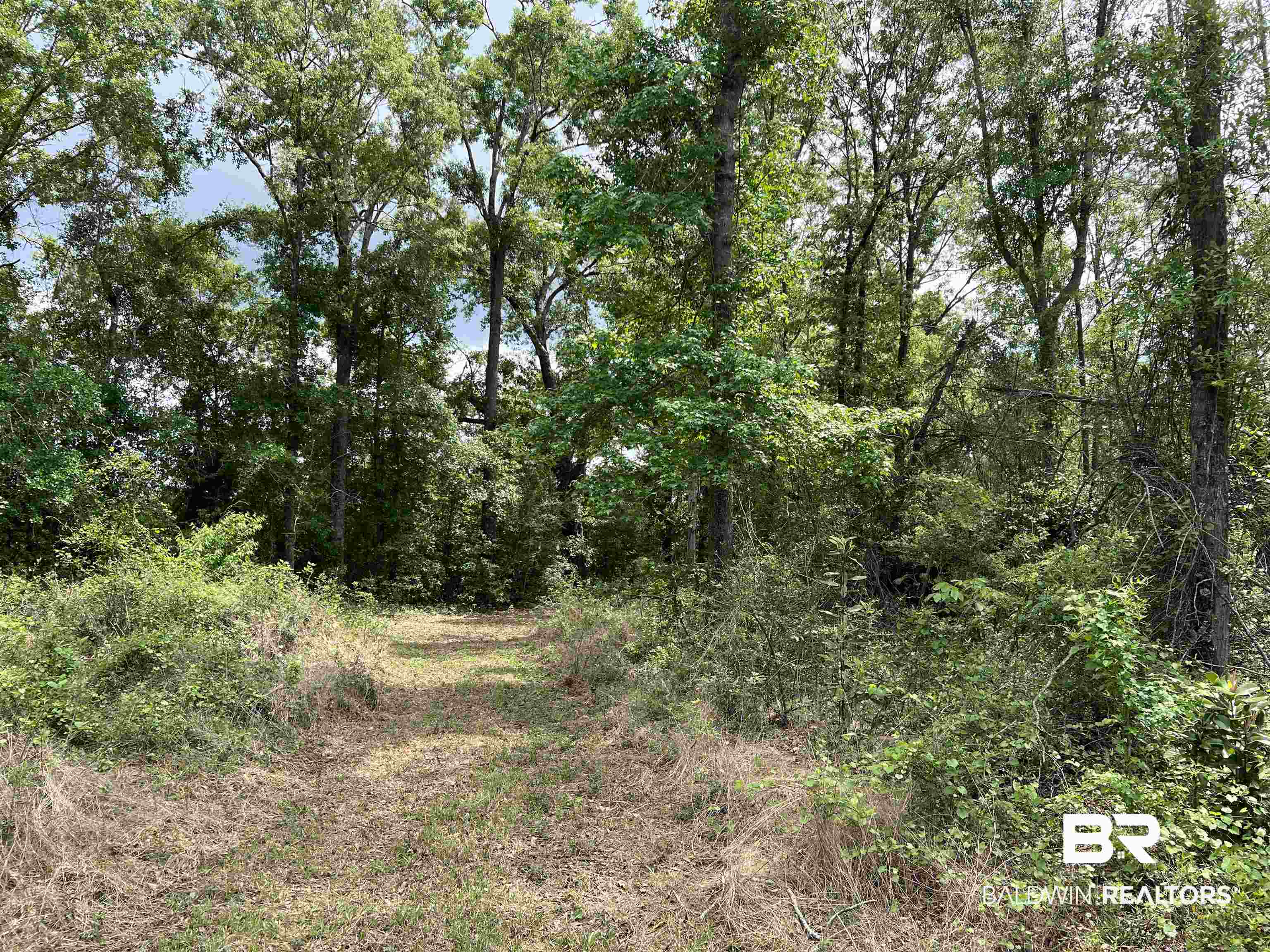 5100 Wiggins Lake Road Walnut Hill, FL 32568 - Photo 22 of 41