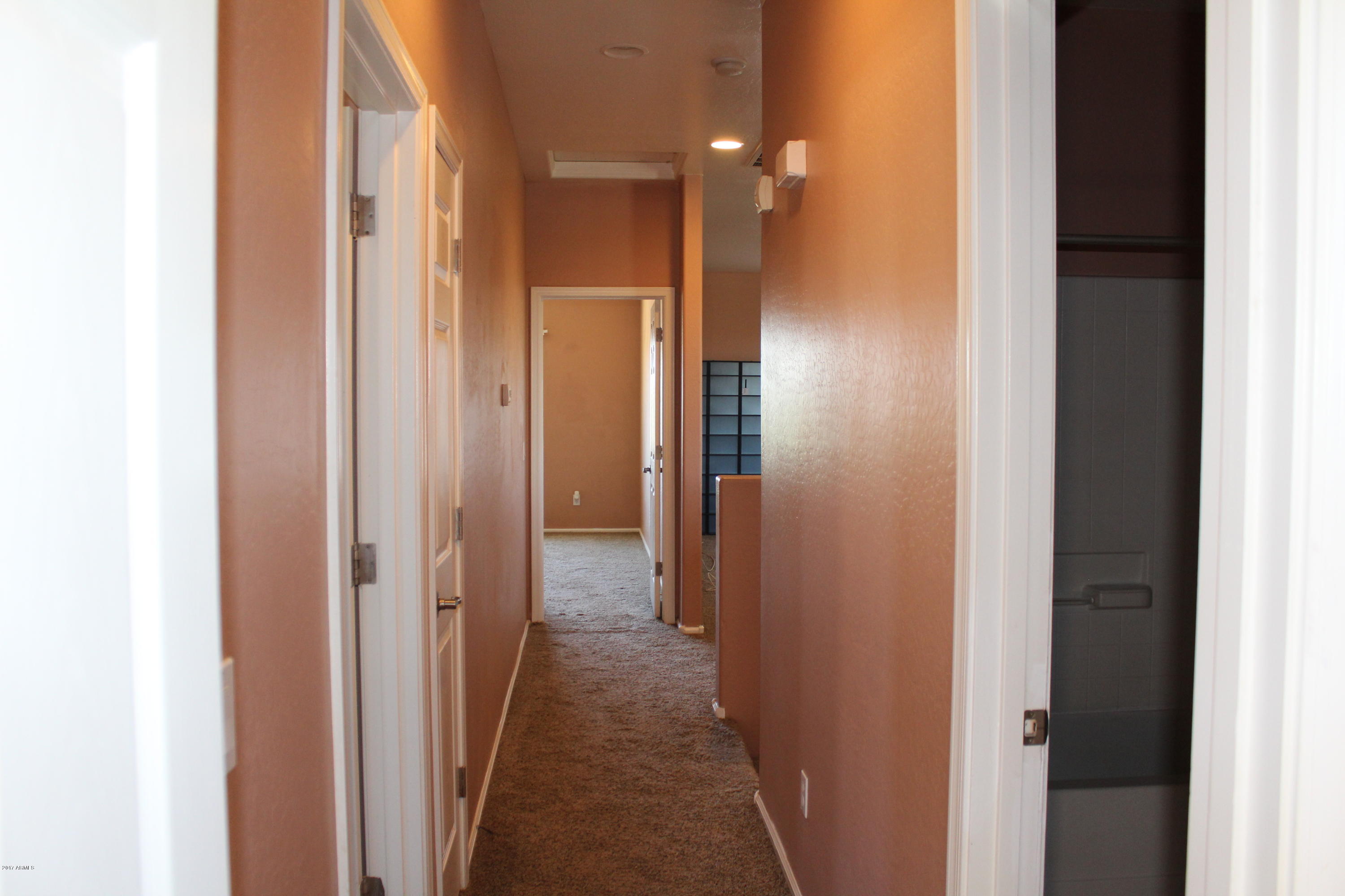 939 East Randy Street Avondale, AZ 85323 - Photo 23 of 28 IMG_2778