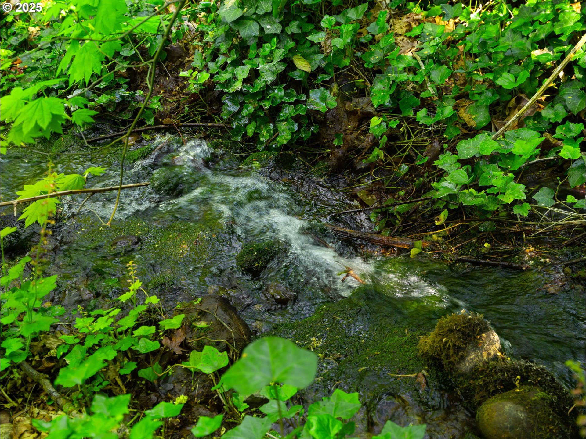 21949 Northeast Couch Street Gresham, OR 97030 - Photo 46 of 48 Creek