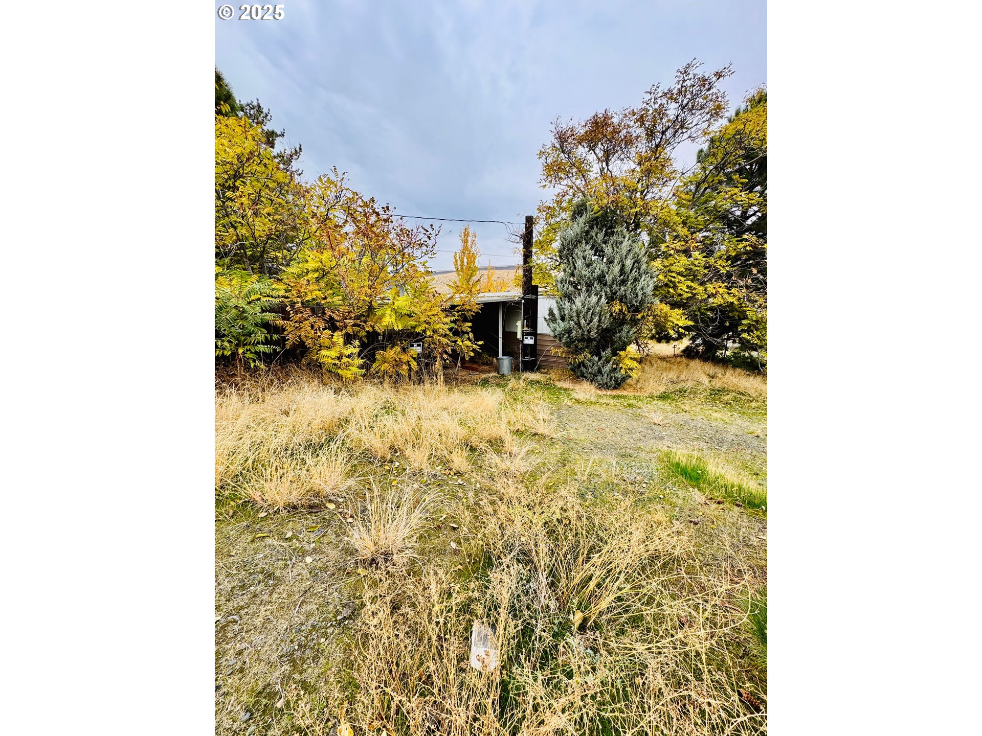 440 Shane Drive Arlington, OR 97812 - Photo 2 of 4