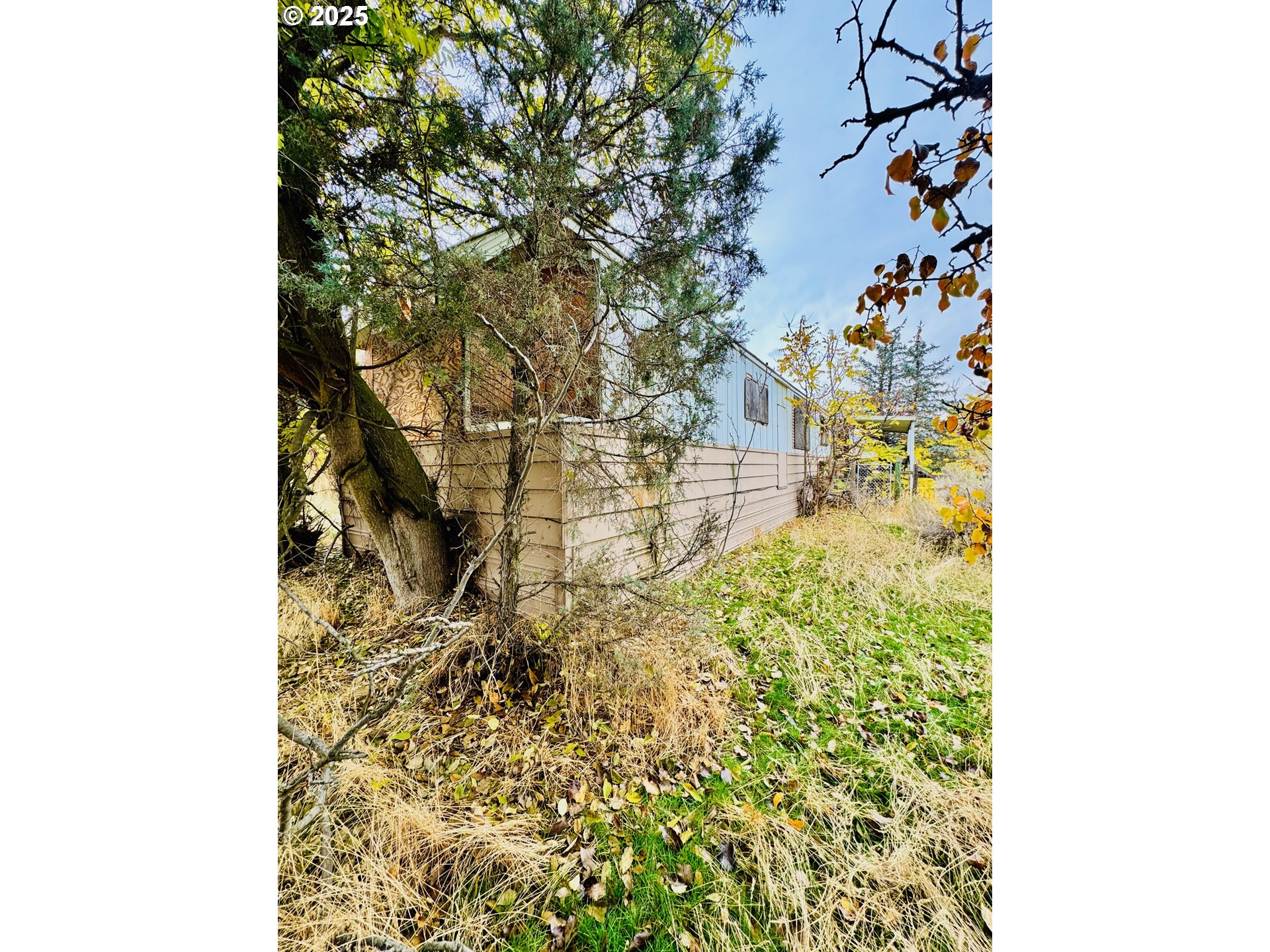 440 Shane Drive Arlington, OR 97812 - Photo 3 of 4