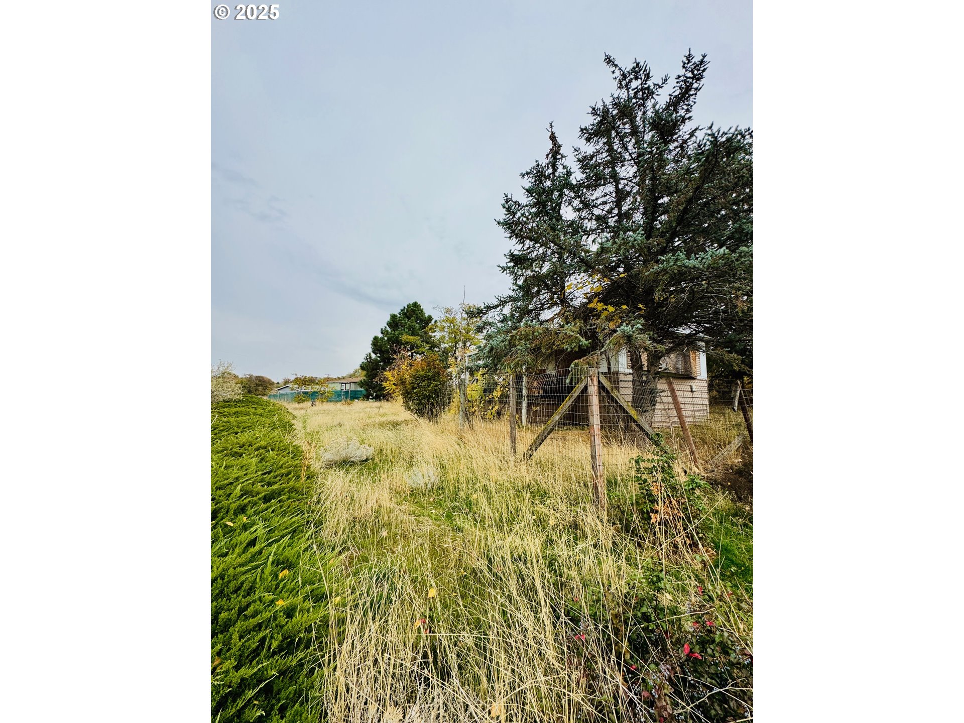 440 Shane Drive Arlington, OR 97812 - Photo 4 of 4