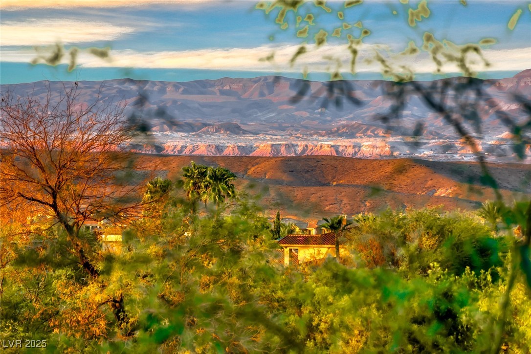 4 Rue Allard Way Henderson, NV 89011 - Photo 53 of 75