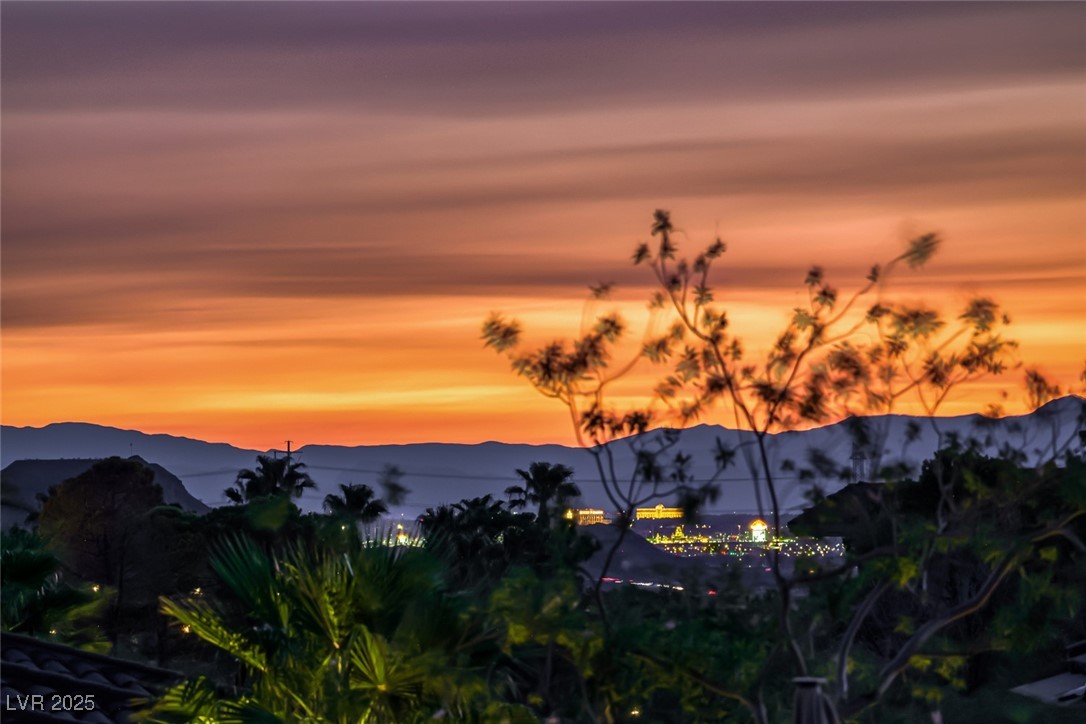 4 Rue Allard Way Henderson, NV 89011 - Photo 58 of 75