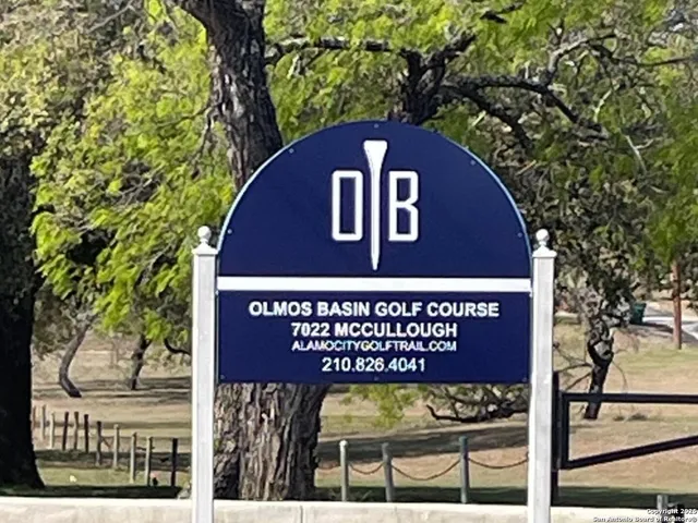 a view of a field and mountains in the background