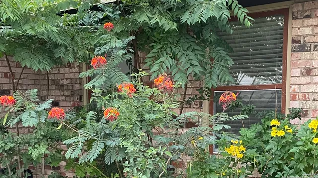 a view of a sign board