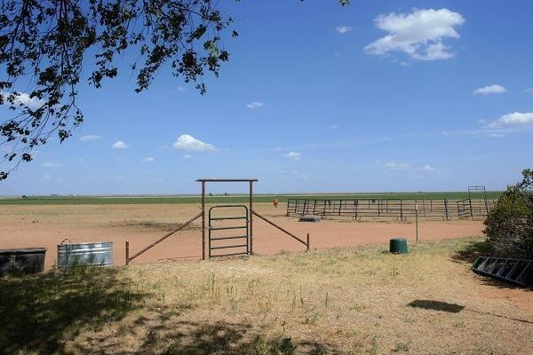 6202 Coyote Road Levelland, TX 79336 - Photo 47 of 50 Photo 47