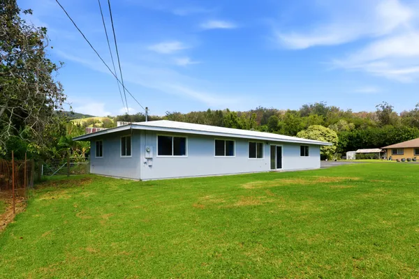a view of a yard in front of a house with a yard