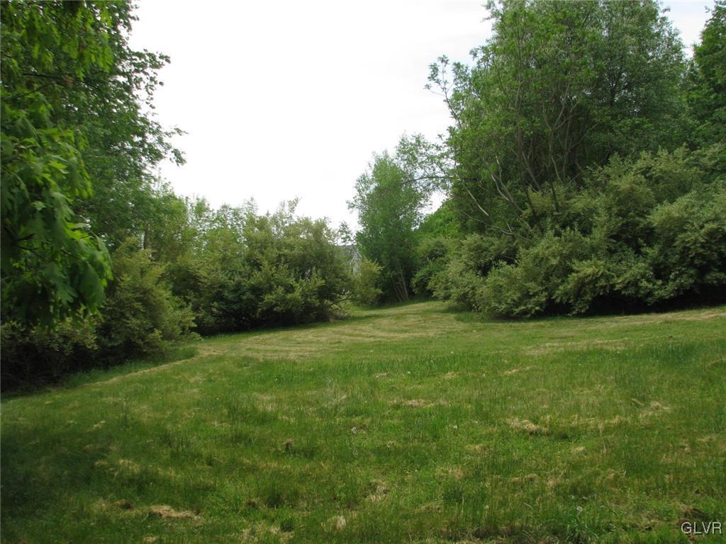 1205 Pine Run Road Lehighton, PA 18235 - Photo 35 of 39 a view of a grassy field with trees