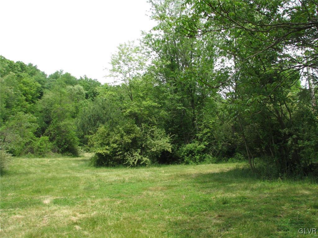 1205 Pine Run Road Lehighton, PA 18235 - Photo 37 of 39 a view of outdoor space and yard
