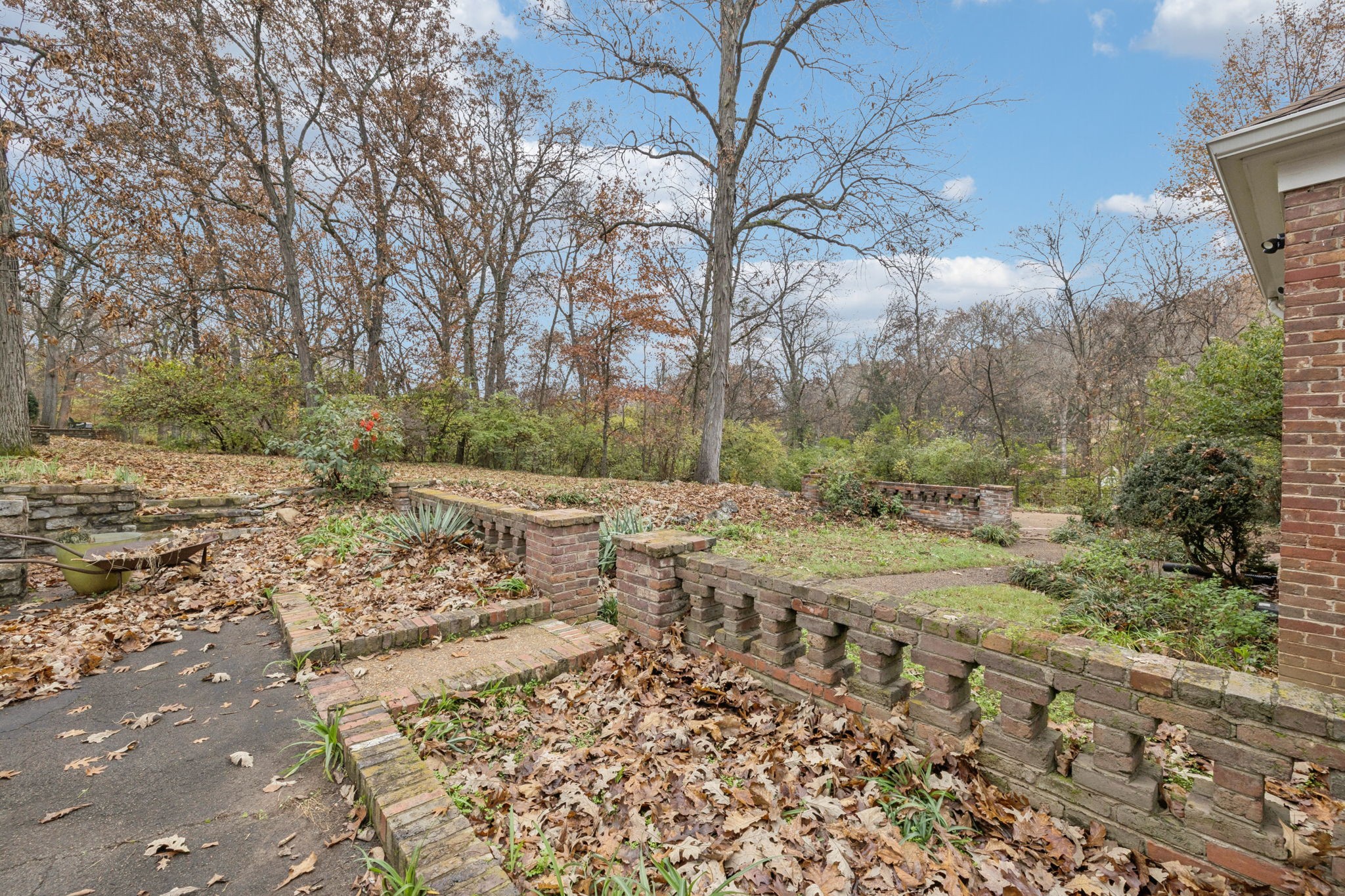 6012 Hickory Valley Road Nashville, TN 37209 - Photo 39 of 60 a view of a yard with an trees