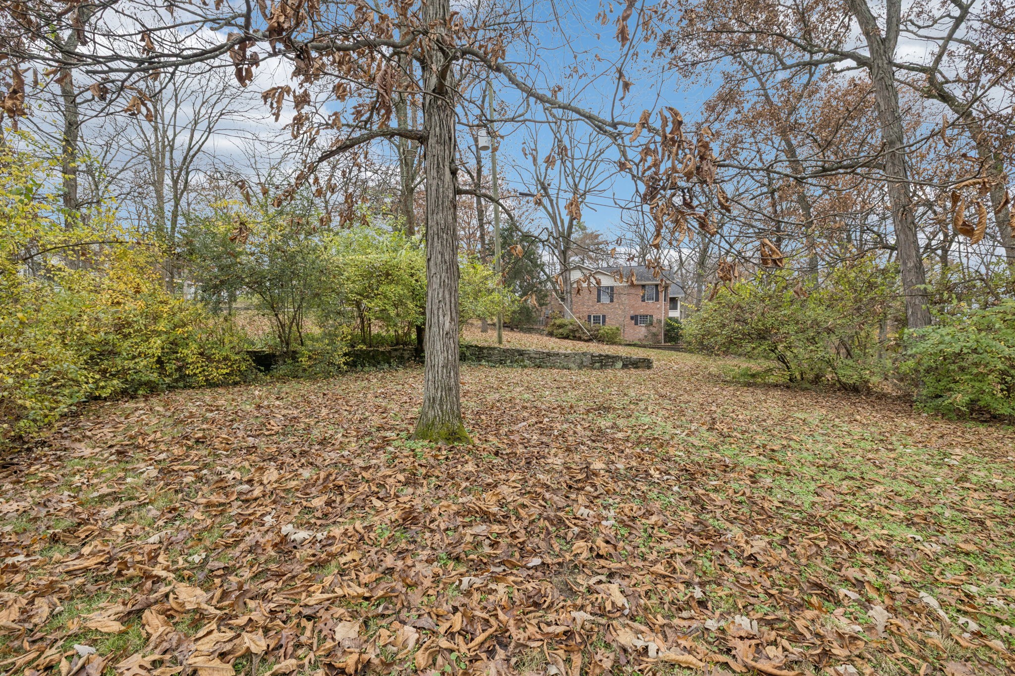 6012 Hickory Valley Road Nashville, TN 37209 - Photo 43 of 60 a view of a yard with plants and trees