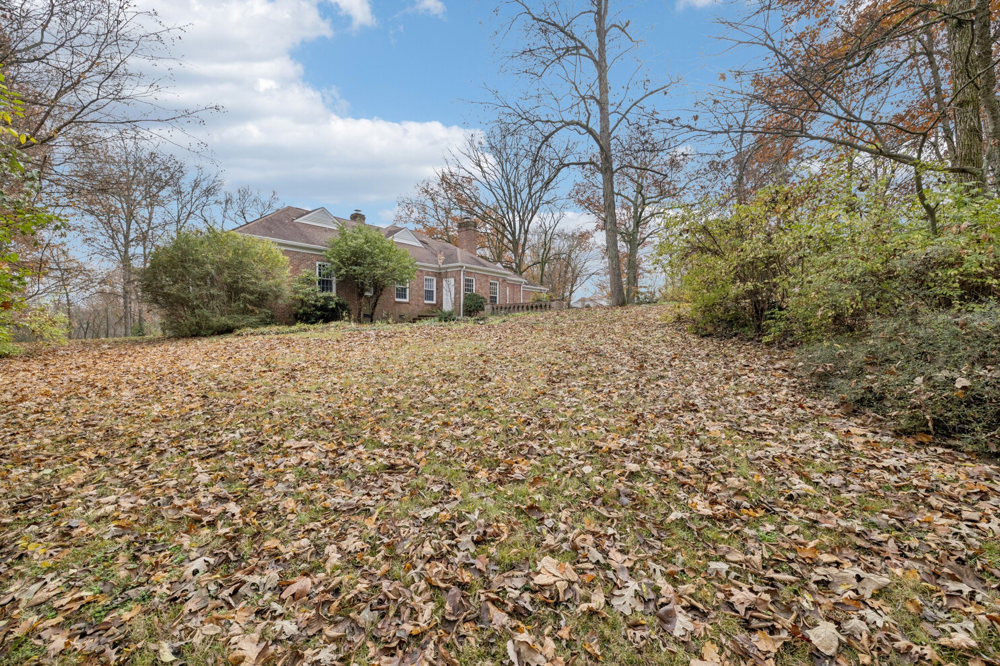 6012 Hickory Valley Road Nashville, TN 37209 - Photo 46 of 60 a view of a yard with large trees