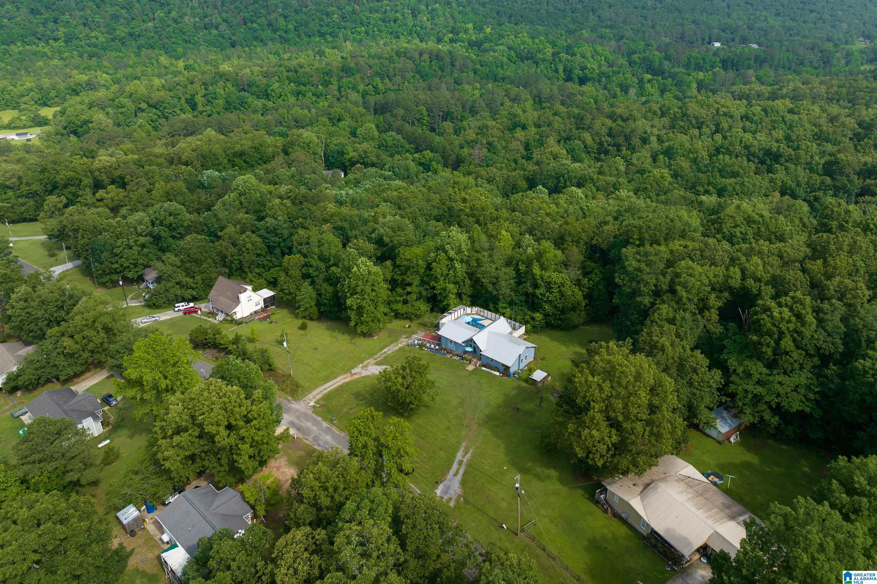 461 Redwood Lane Remlap, AL 35133 - Photo 42 of 48