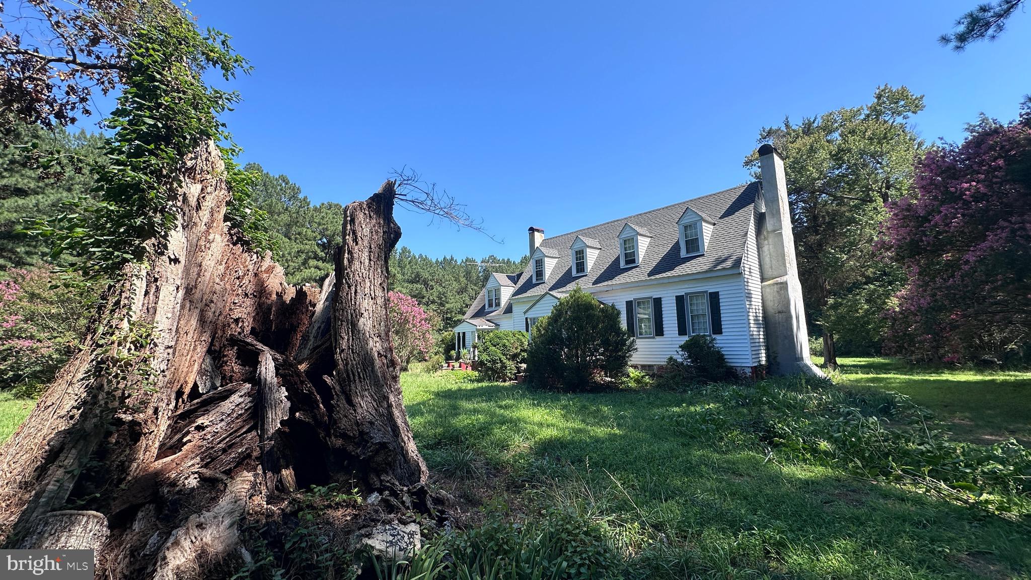 2788 Great Oak Road Warfield, VA 23889 - Photo 1 of 68 The record breaking 600 year old Grand Oak