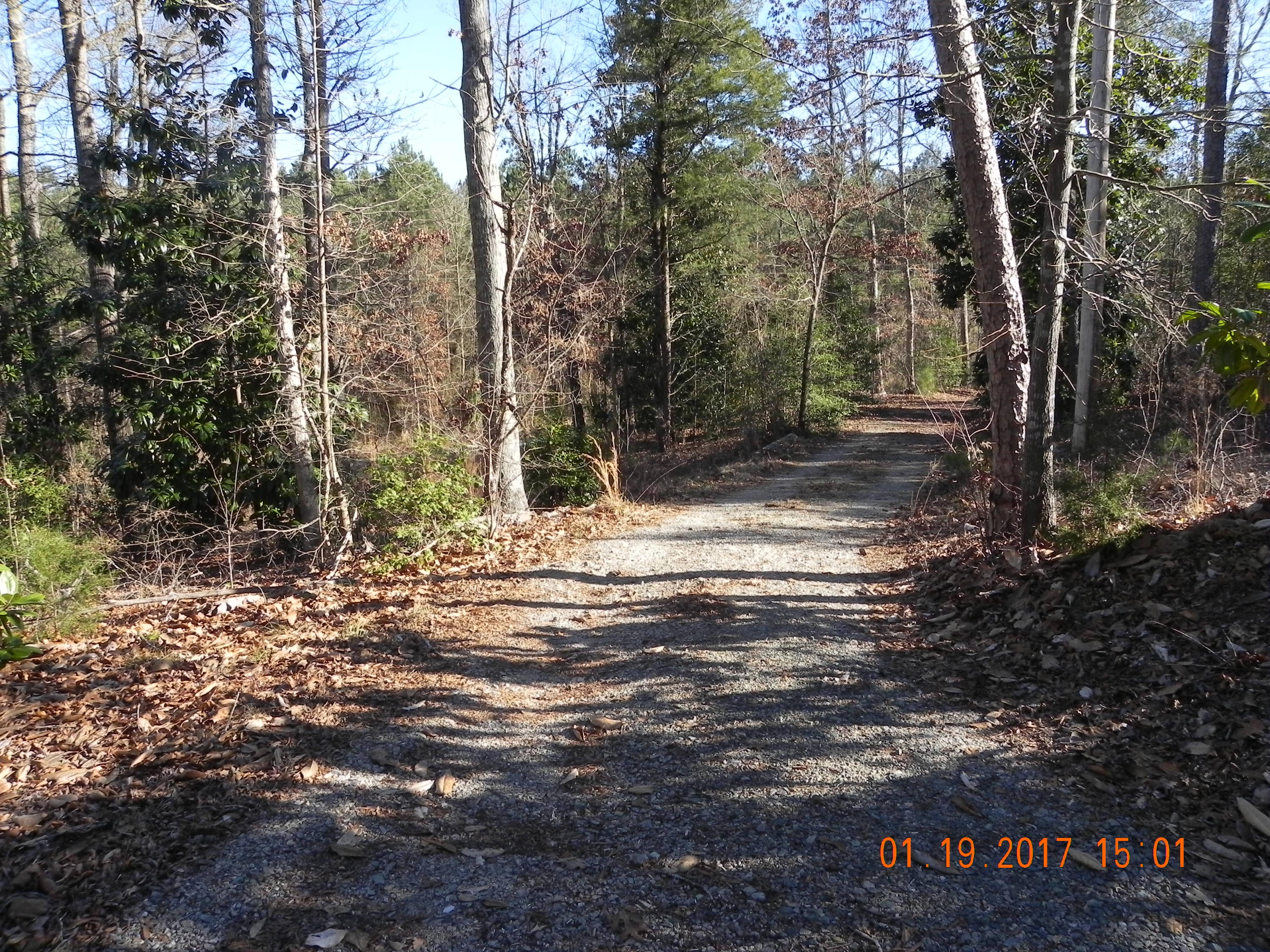 684-656 Peace Road Carthage, NC 28327 - Photo 5 of 41 656 - Driveway up to the most right home.
