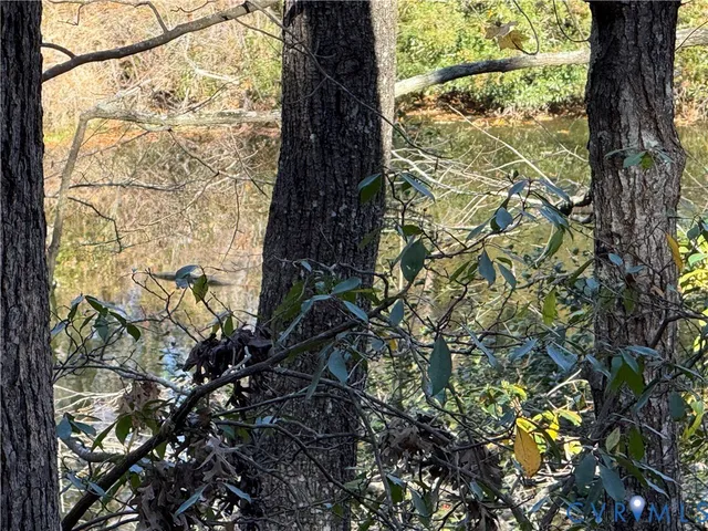 a close up of a plant in a garden