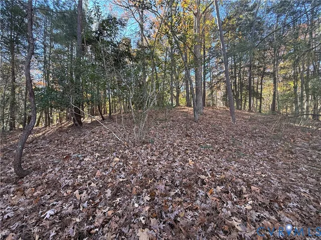 a view of a yard with plants and trees