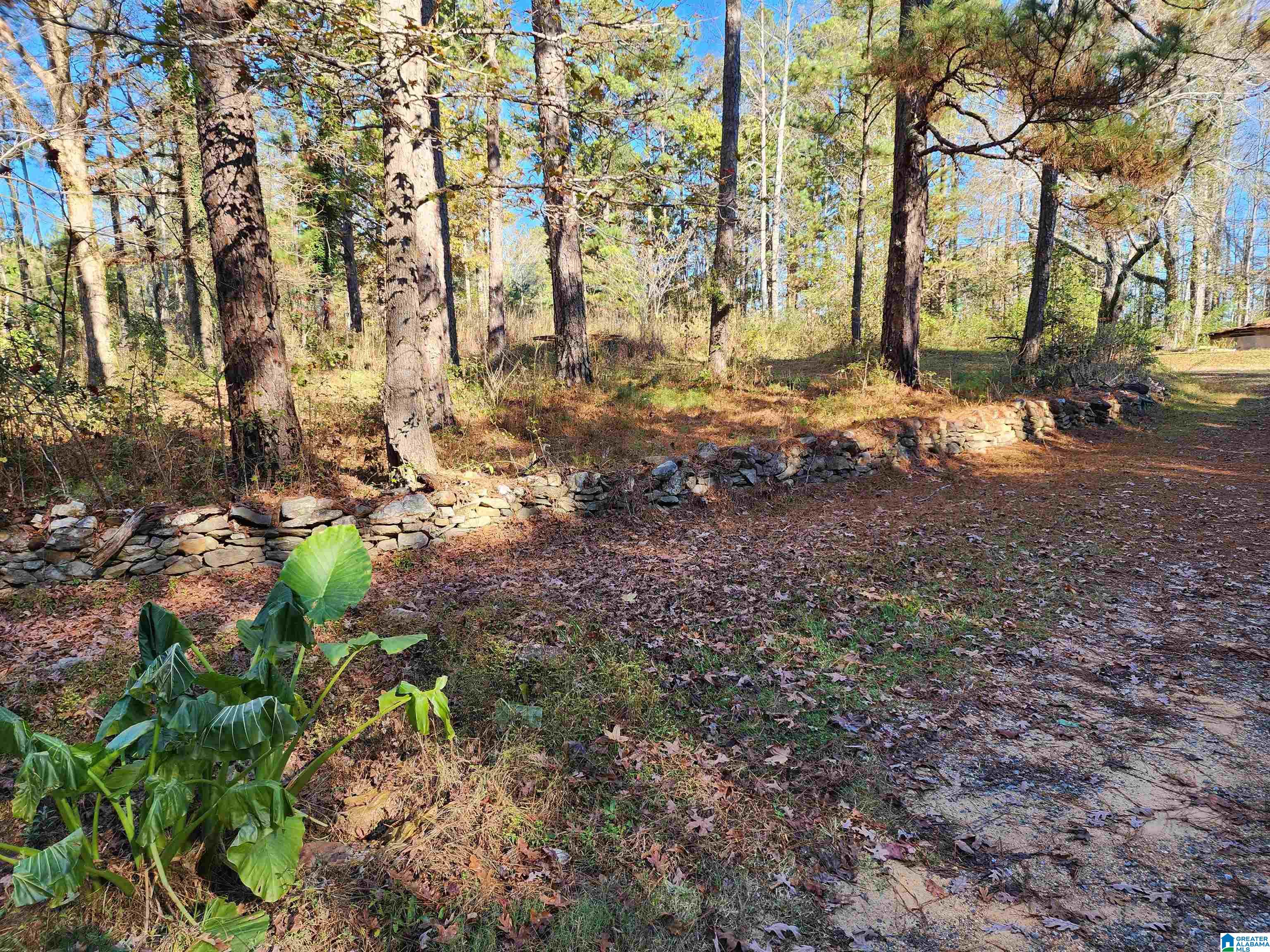 524 Raccoon Trail Goodwater, AL 35072 - Photo 2 of 21
