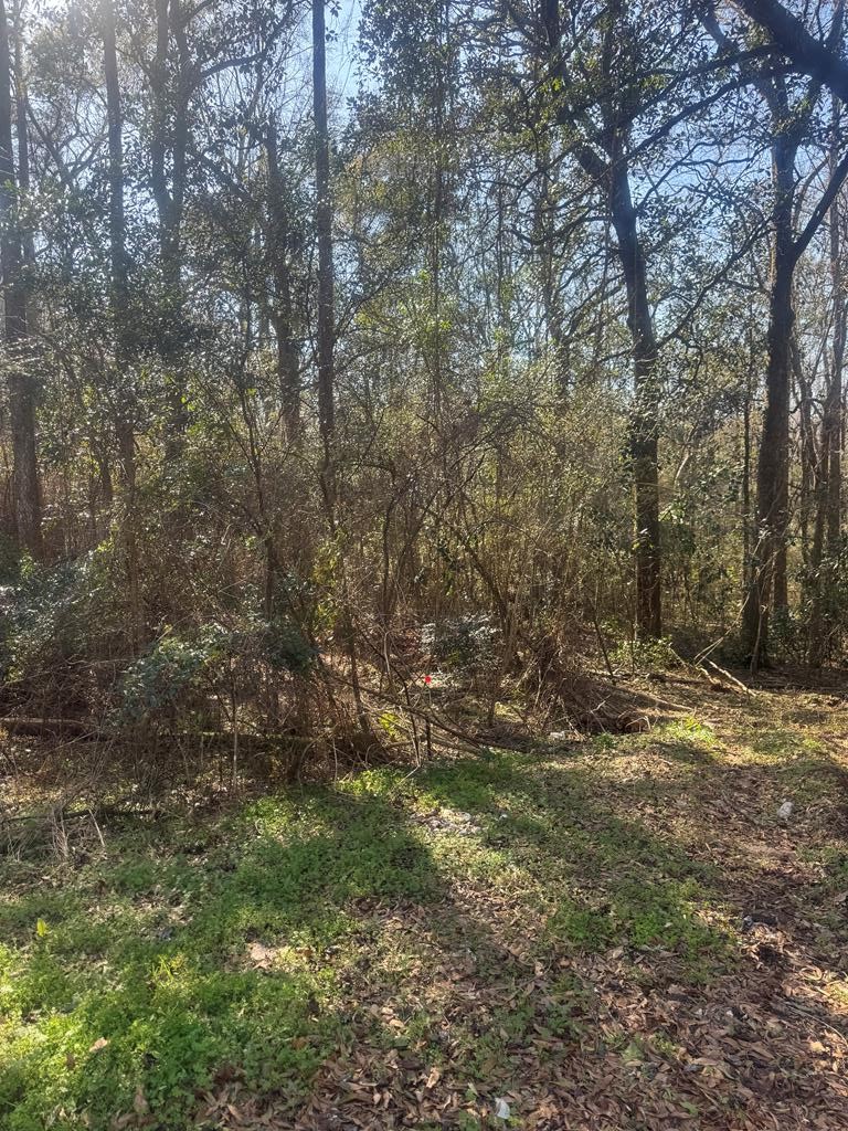0 Vining Drive Dothan, AL 36303 - Photo 3 of 7