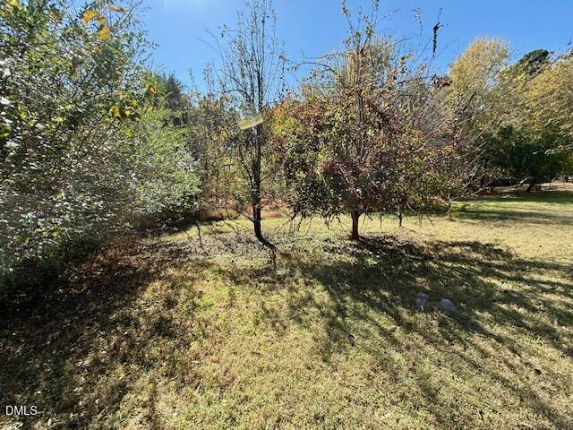 133 Hill Street Roxboro, NC 27573 - Photo 4 of 15 a view of yard with trees