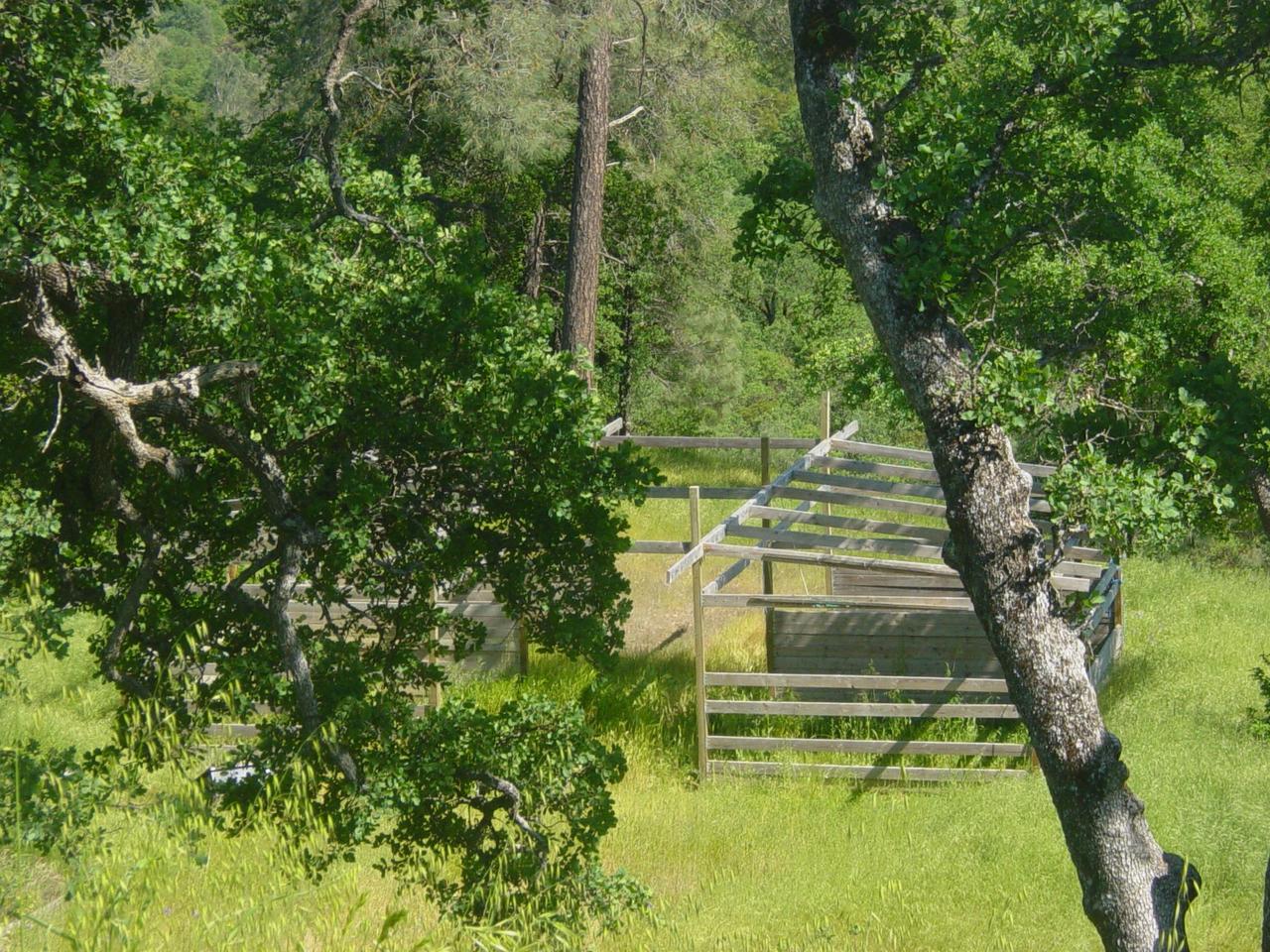 16915 Prentice Road Cottonwood, CA 96022 - Photo 3 of 10 Barn frame