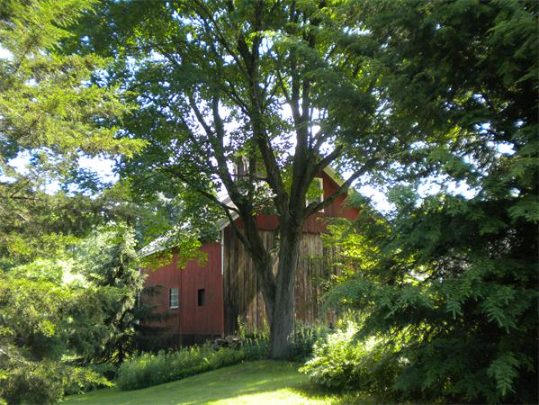680 Bay Road Amherst, MA 01002 - Photo 25 of 28
