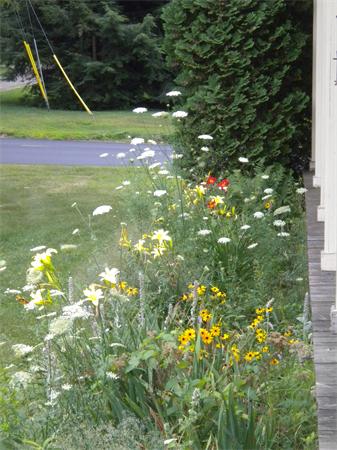680 Bay Road Amherst, MA 01002 - Photo 26 of 28