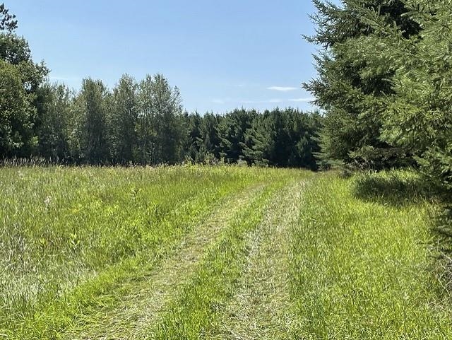 5377 Rau Road West Branch, MI 48661 - Photo 19 of 41 1914902-20.JPG