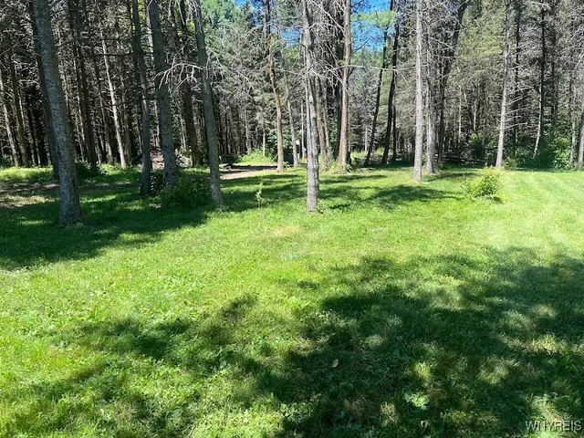 $245,000 | 3453 Dutton Loop, Clarksville, NY 14727