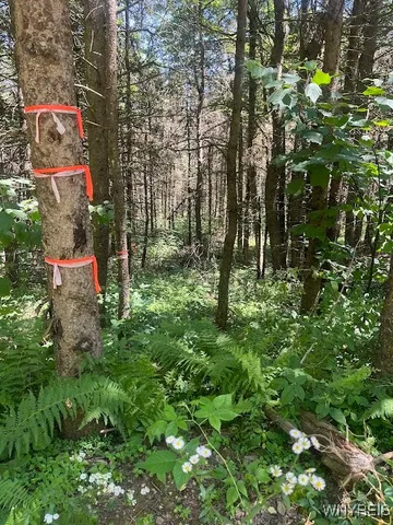 $245,000 | 3453 Dutton Loop, Clarksville, NY 14727