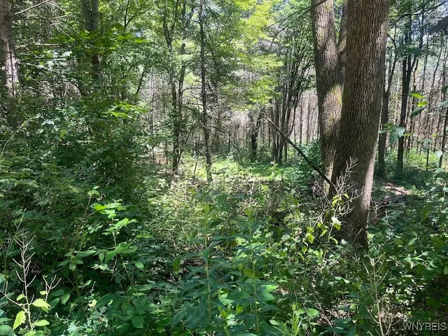 $245,000 | 3453 Dutton Loop, Clarksville, NY 14727