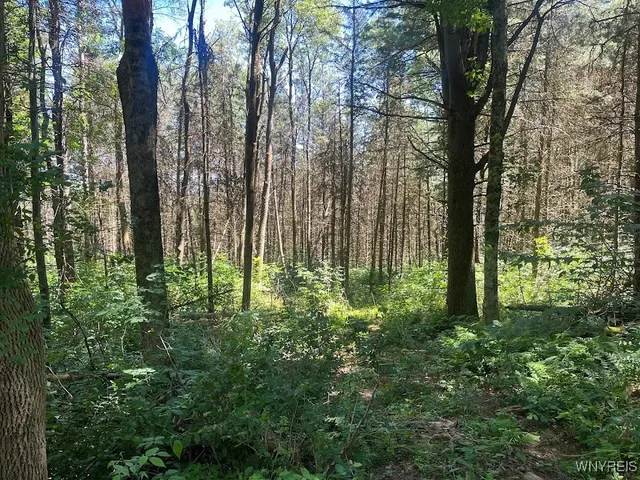 $245,000 | 3453 Dutton Loop, Clarksville, NY 14727