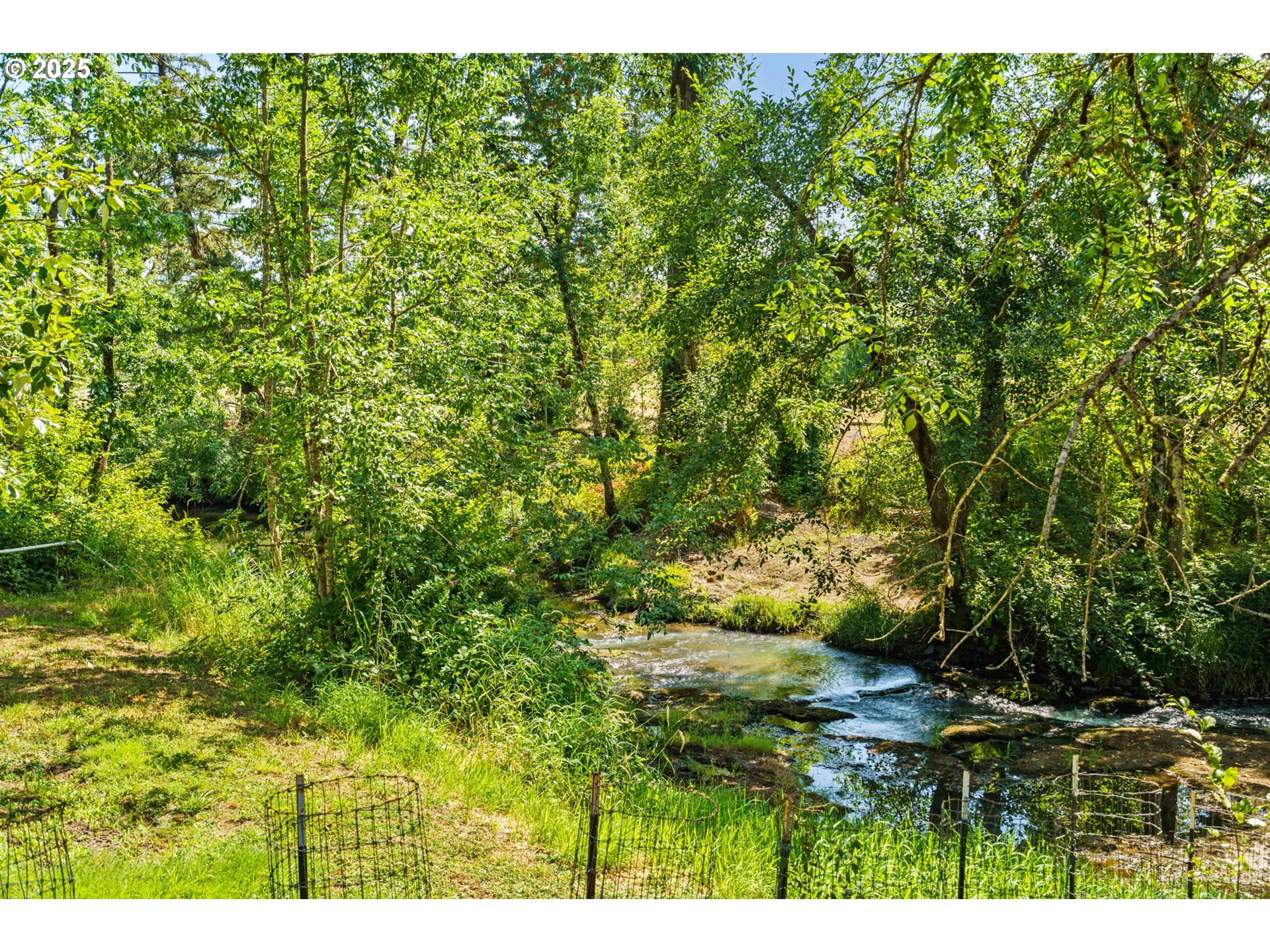 37276 Camp Creek Road Springfield, OR 97478 - Photo 37 of 44